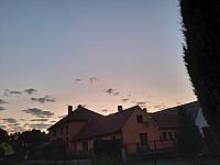Olešná