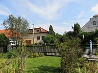 Třibřichy