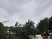 Olešná