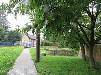 Třibřichy