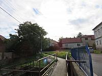 Třibřichy