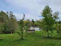 Císařov