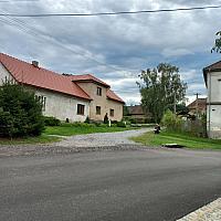 Třibřichy