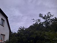 Olešná