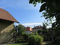 Třibřichy