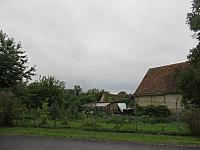 Třibřichy