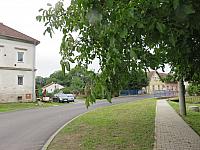 Třibřichy