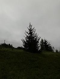 Skalité