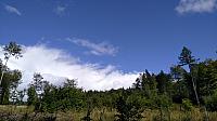 Líska