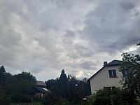 Olešná