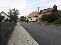 Třibřichy