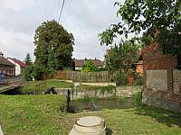 Třibřichy