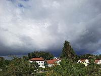 Olešná
