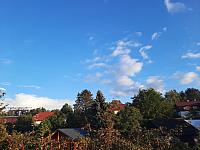 Olešná