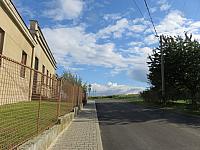 Třibřichy