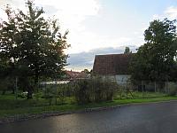 Třibřichy