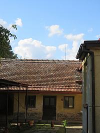 Třibřichy