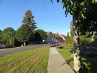 Třibřichy