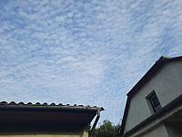 Olešná