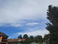 Olešná
