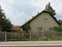 Třibřichy