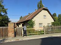 Třibřichy