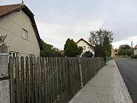 Třibřichy