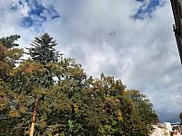 Jihlava