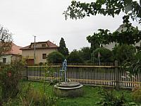 Třibřichy