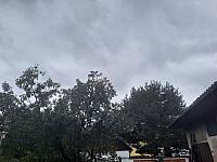 Olešná
