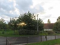 Třibřichy