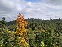 Třebíč-Borovina