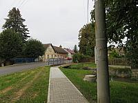 Třibřichy