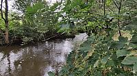 Blatná