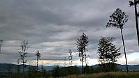 Bocanovice