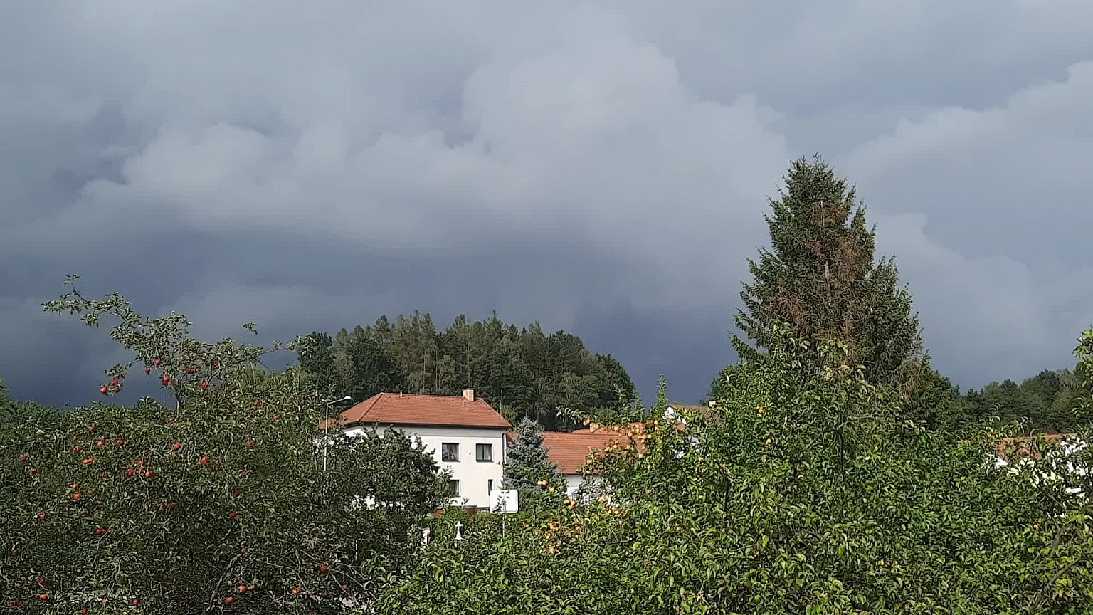 Olešná