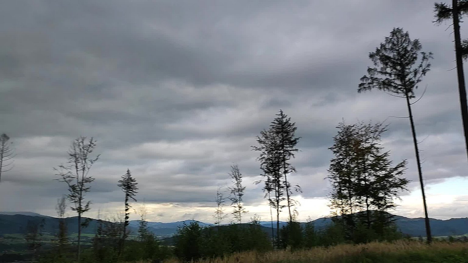 Bocanovice