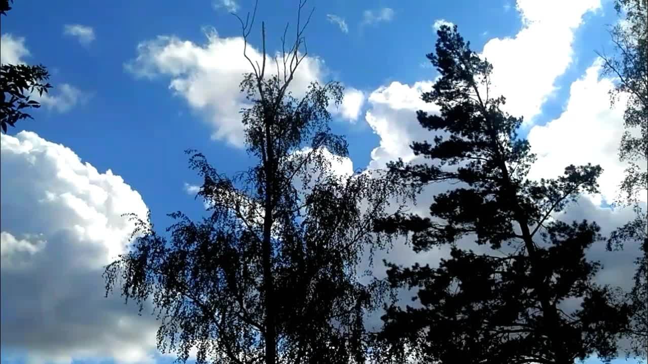 Třebíč-Borovina