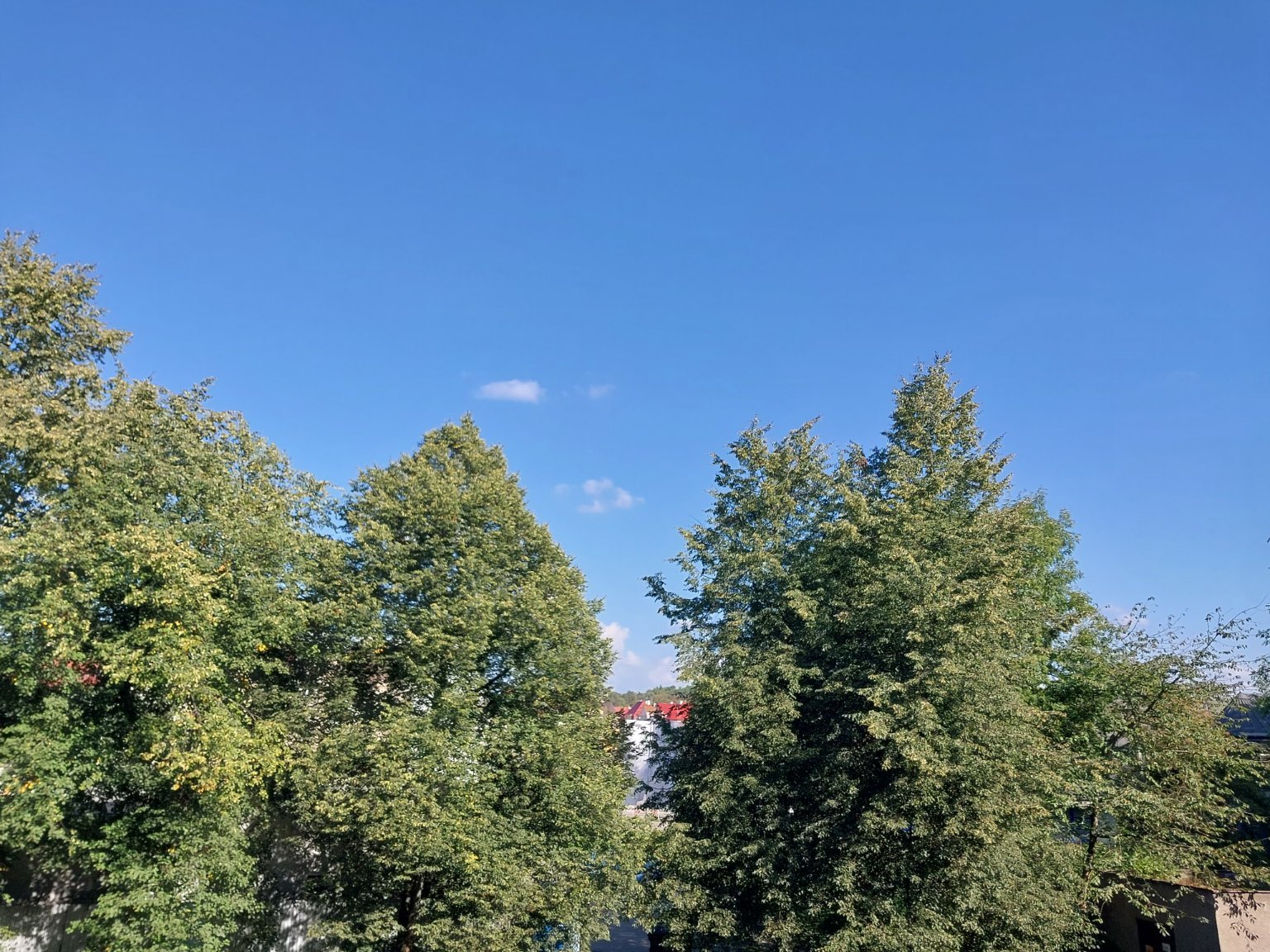 Český Těšín