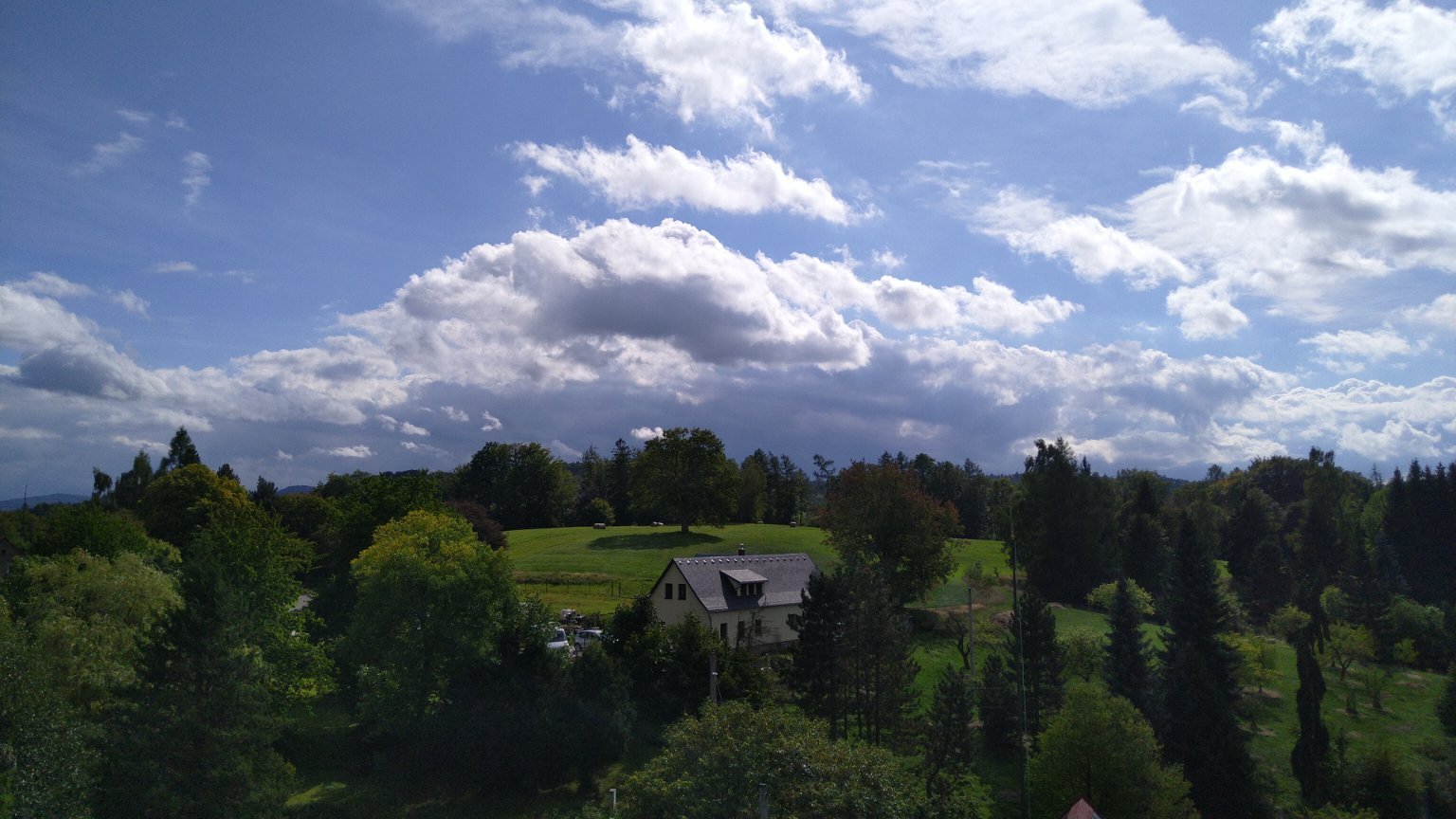 Sněžná