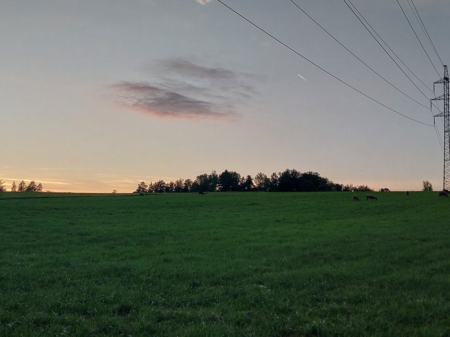 Koňákov