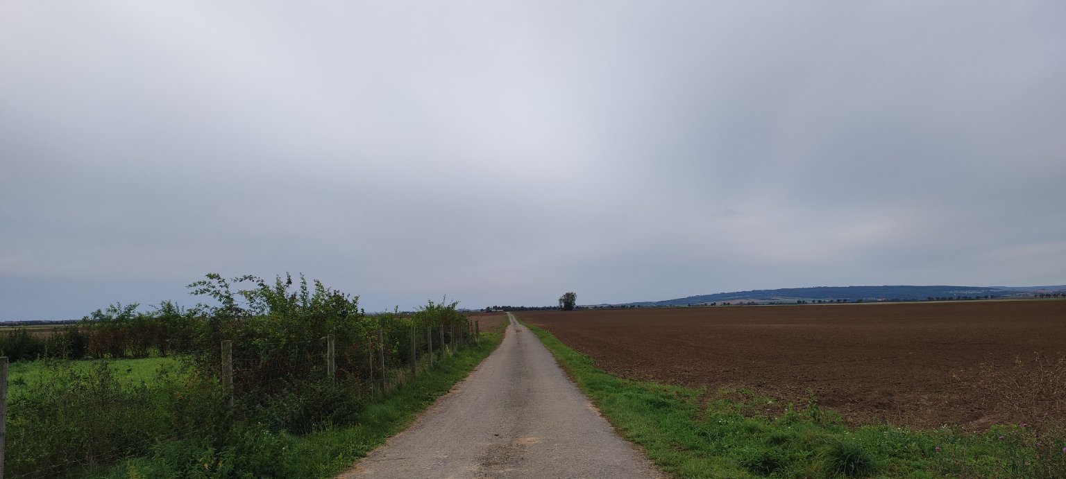 Příkazy