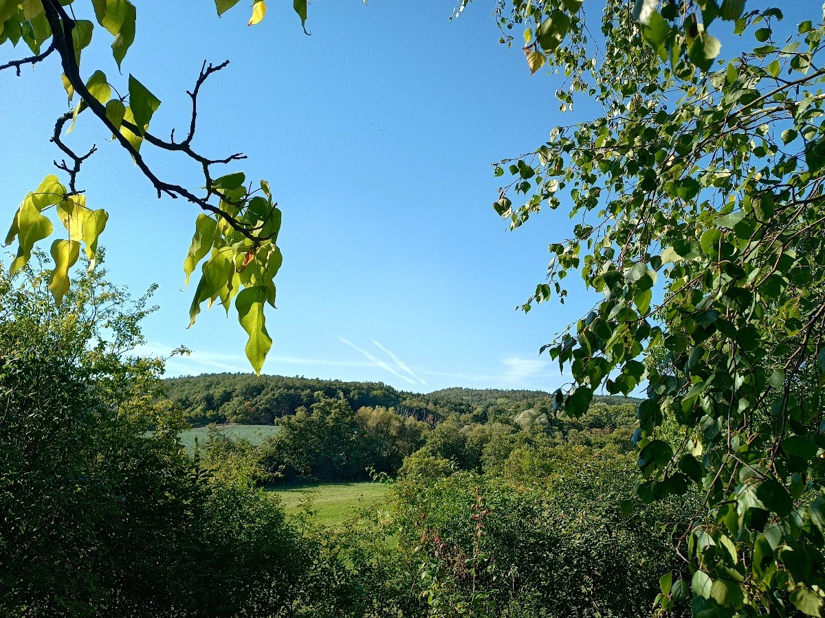 Habrovany