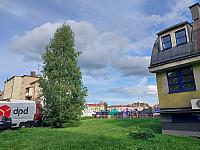 Český Těšín