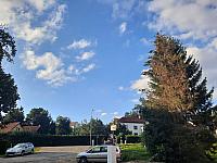 Olešná