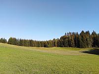 Jaworzynka