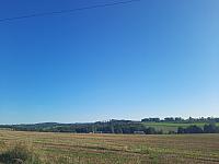 Olešná