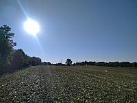 Třebíč-Borovina
