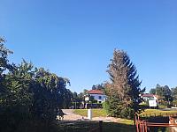 Olešná