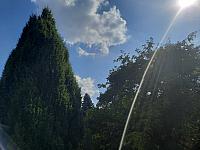 Olešná